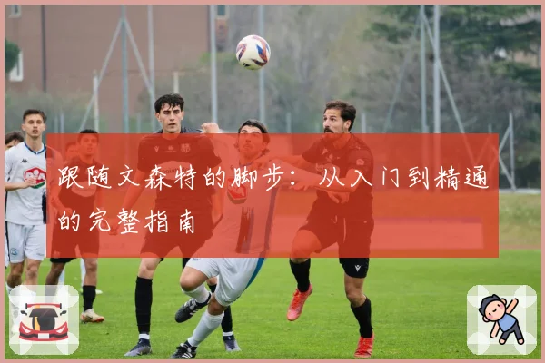 跟随文森特的脚步：从入门到精通的完整指南